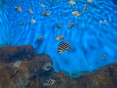 -福州罗源湾海洋世界旅游区