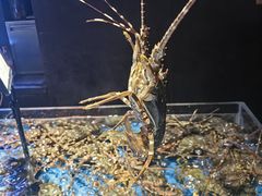 -徐记海鲜(大雁塔|金都店)