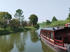 -宁波杭州湾国家湿地公园