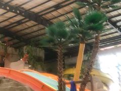 -南宫温泉水世界