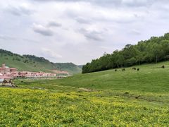 -关山草原