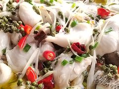 -金三可市井水煮鱼(金碧园店)