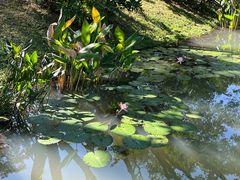 -云溪植物园
