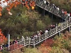 -狼牙山风景区