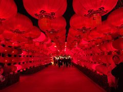 -南宫五洲植物乐园