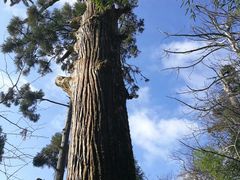 -东天目山风景区