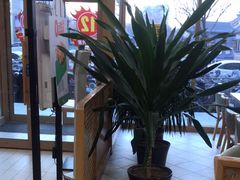 -德克士(深泽店)