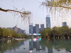 -天鹅湖体育公园