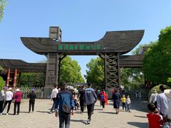 -溱湖国家湿地公园