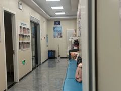 -美联众合爱康动物医院•复杂内科•肿瘤科•牙科•腔镜诊疗中心