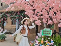 -白鹿原影视城