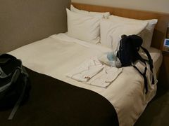 -秋叶原华盛顿酒店