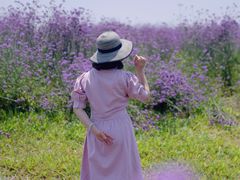 -光明小镇欢乐田园