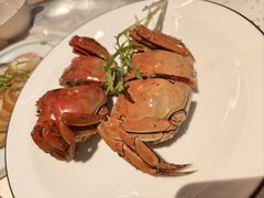 -青叶202都市餐厅(迪诺水镇店)