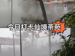 -伴山茶苑·围炉煮茶