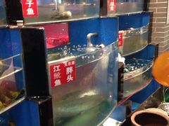 水产区-乡下姥渔馆(齐落山路店)
