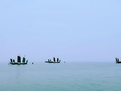 -贡湖湾湿地公园