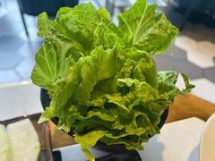 -蚝大仙横琴生蚝火锅(中央汇店)