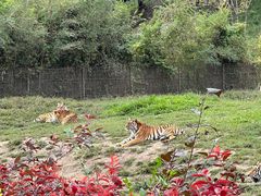 -沈阳森林动物园