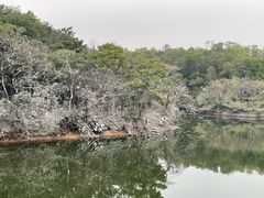 -广州莲花山旅游区