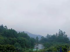 -天强农家菜馆