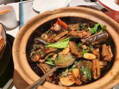-新兴·金羊座·粤菜点心(乐峰店)