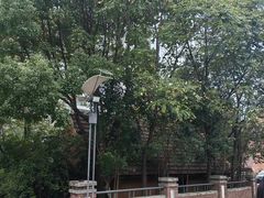 -苏州市姑苏区少年宫(沧浪分部)