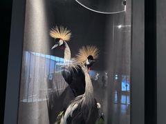 -武汉园博园(武汉自然博物馆)