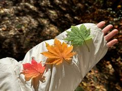 -本溪老边沟风景区