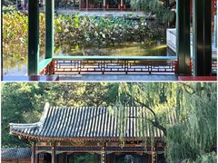 -颐和园