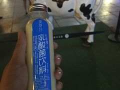 -莫愁村问君老酸奶