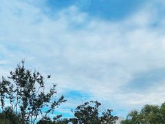 -上海滨江森林公园