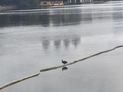 -南宁南湖公园