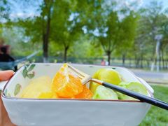 -永定河休闲森林公园