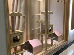 -猫腻·猫咖·撸猫馆(星光大道店)