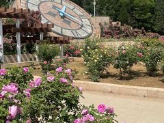 -石家庄市植物园