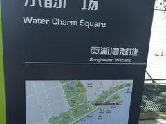 -贡湖湾湿地公园