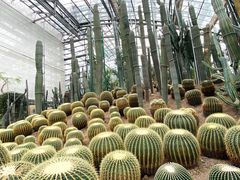 -南山植物园