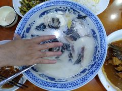 -全乐鱼馆·淳牌有机鱼直营店