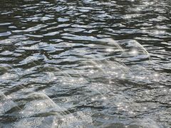 -千岛湖九龙溪漂流