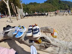 -西涌国际滨海旅游区