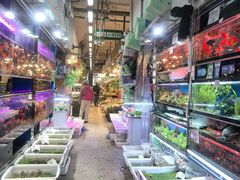 -双季花艺园艺市场(浦东店)