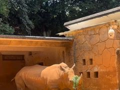 -昆明动物园