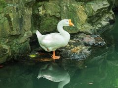 -兰亭风景区