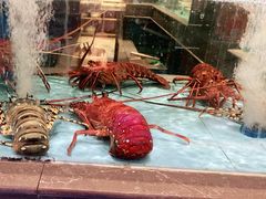 -阿伟海鲜楼·福建菜(延寿店)