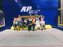 -Apfunll潮玩乐园*生日派对*企业团建(米房店)