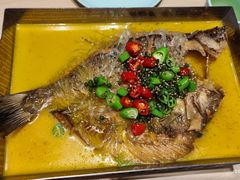 -张一品食府