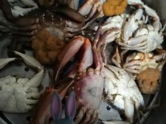 -青岛沙子口国家中心渔港