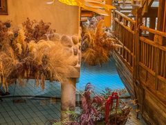 -叶叶菩提(太原别墅店)