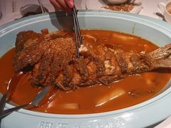 -阿五黄河大鲤鱼(英协路店)